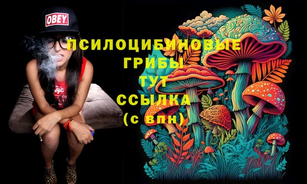 мескалин Михайлов